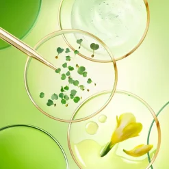 The Global Anti-Aging Cream SPF30