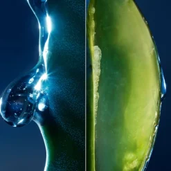 The Toner, Gezichtslotion met Cactusextract