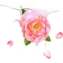 Ufo Mask Bulgarian Rose