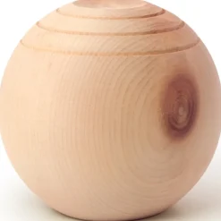 Zwitserse stenen dennenappel